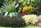 Orchid Valleyresidential-landscaping-58.jpg; ?>